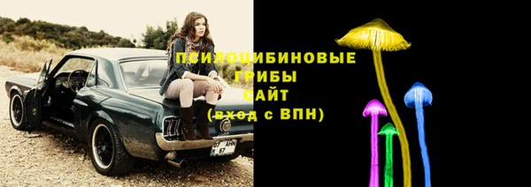 ECSTASY Алексин