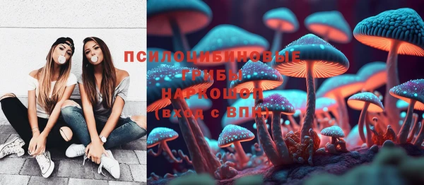 ECSTASY Алексин