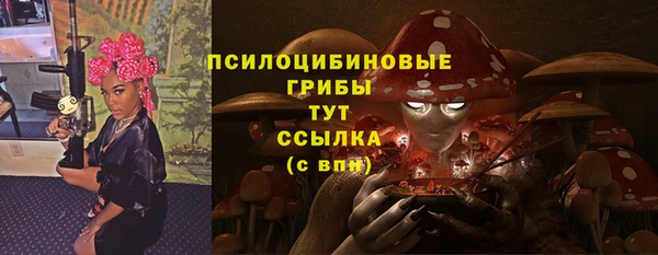 Альфа ПВП Алзамай