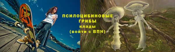 ECSTASY Алексин