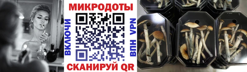 продажа наркотиков OMG ONION Галлюциногенные грибы прущие грибы Анадырь